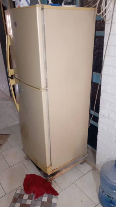 PEL Refrigerator