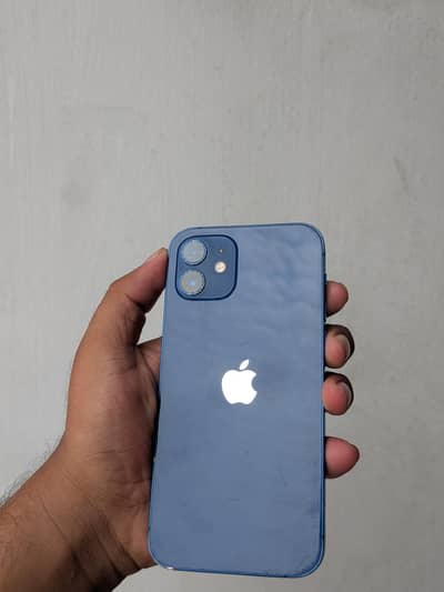 Apple iPhone 12 panel change