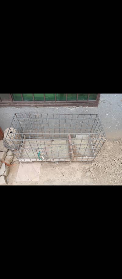 Cages for sale