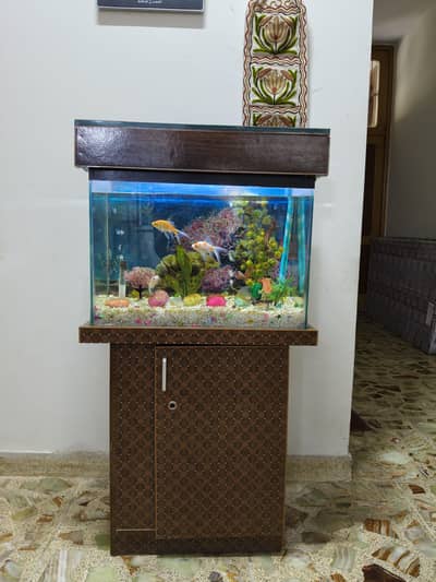 FISH AQUARIUM