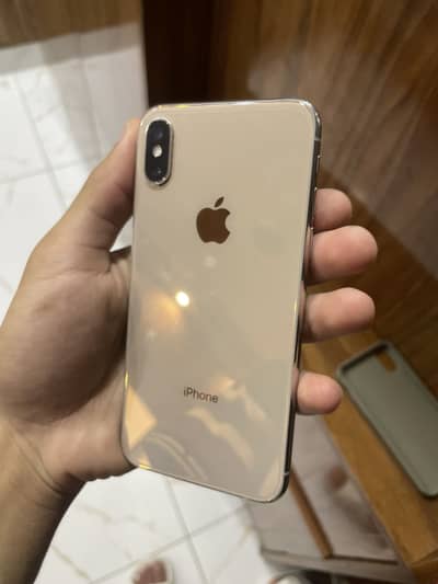 Apple iPhone X