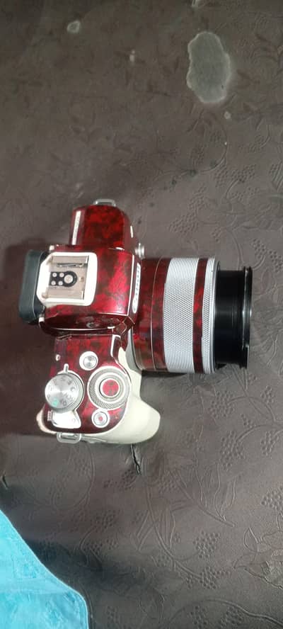 M50 cenan