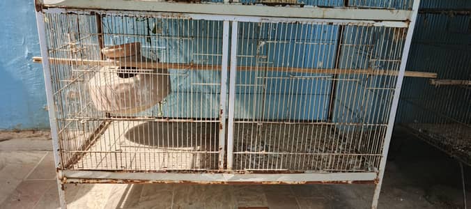 two cages for sale white one five portion 2nd tow portion urgent sale