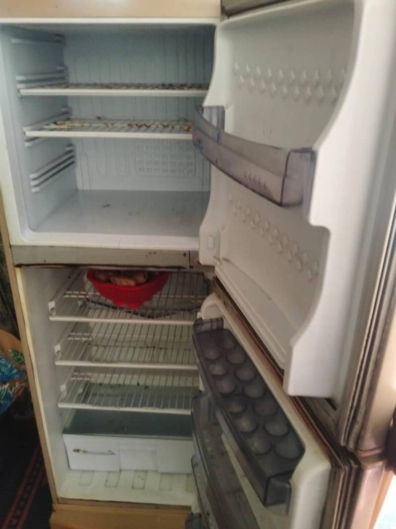 pel fridge 1