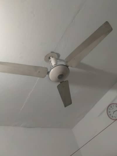 ceiling fan