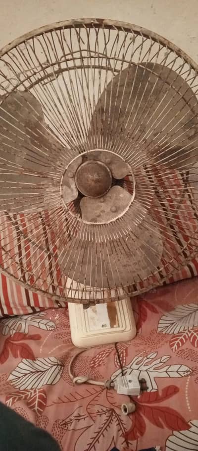Bracket fan for sale