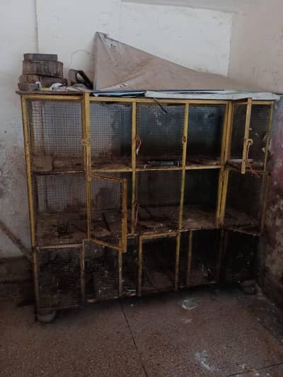 Hen Cage