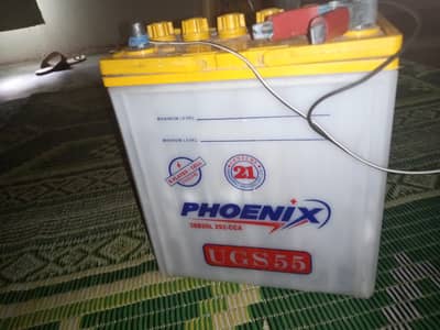 Phoenix better