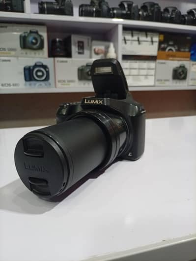 Lumix FZ80 4K