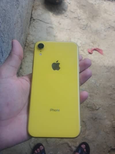 I phone xr