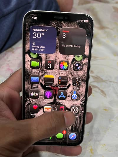 Apple iPhone 12