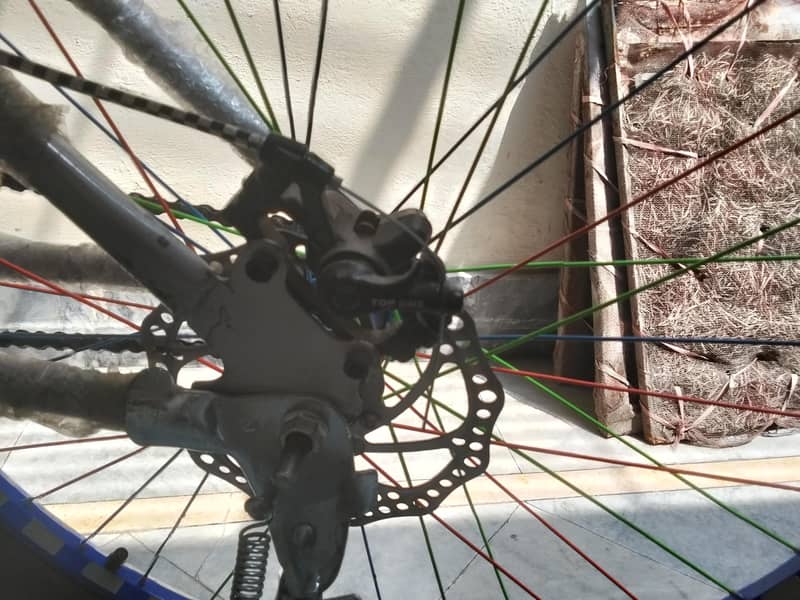new brand cycle 1