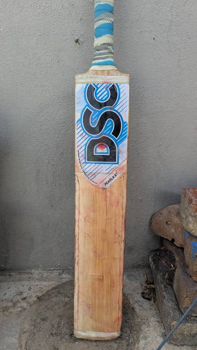 DSC Hardball Cricket Bat English Willow