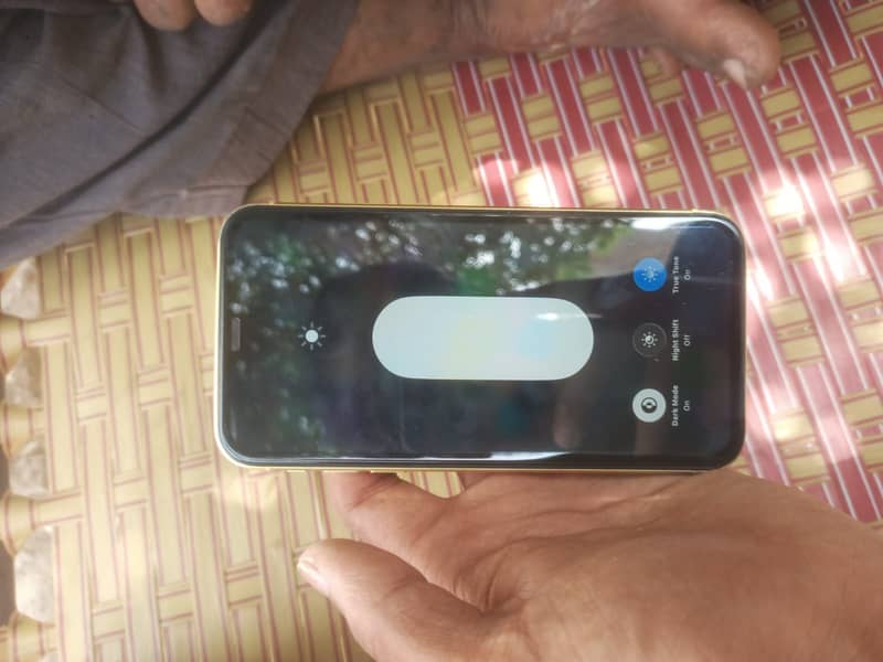 Apple iPhone 11 4