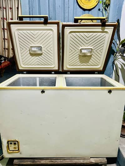 Waves double door deep freezer