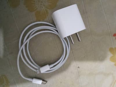 Apple Iphone charger