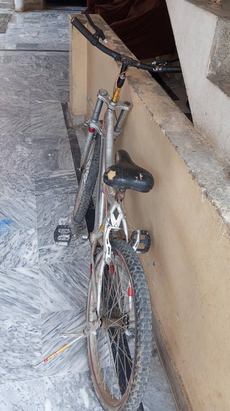 Bicycle 1