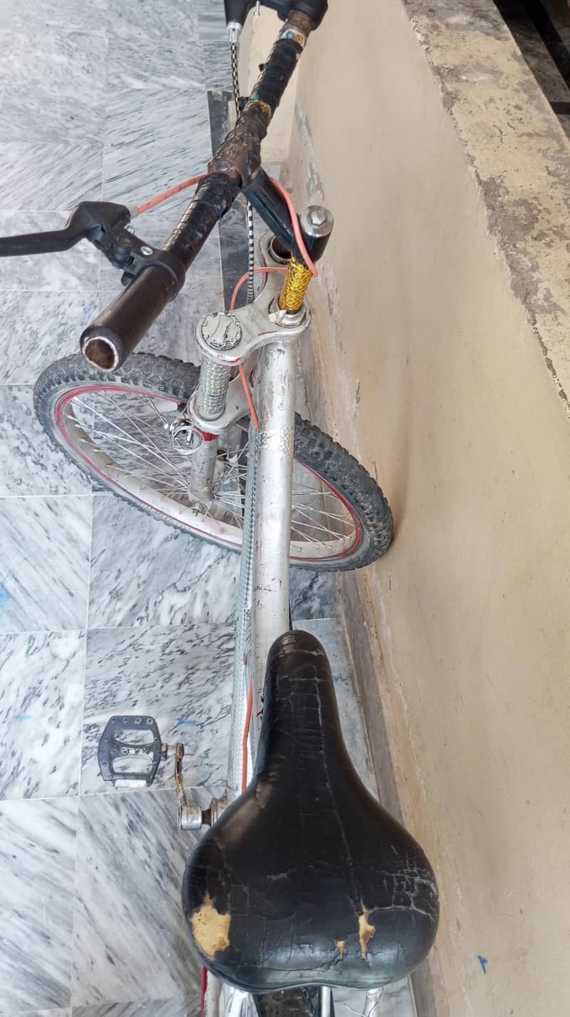 Bicycle 2