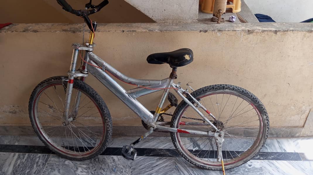 Bicycle 6