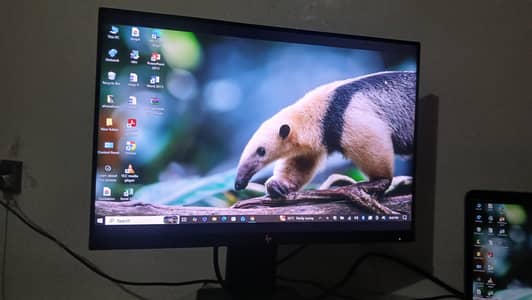 Z24n moniter