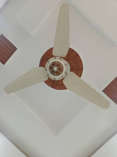 ceiling fan