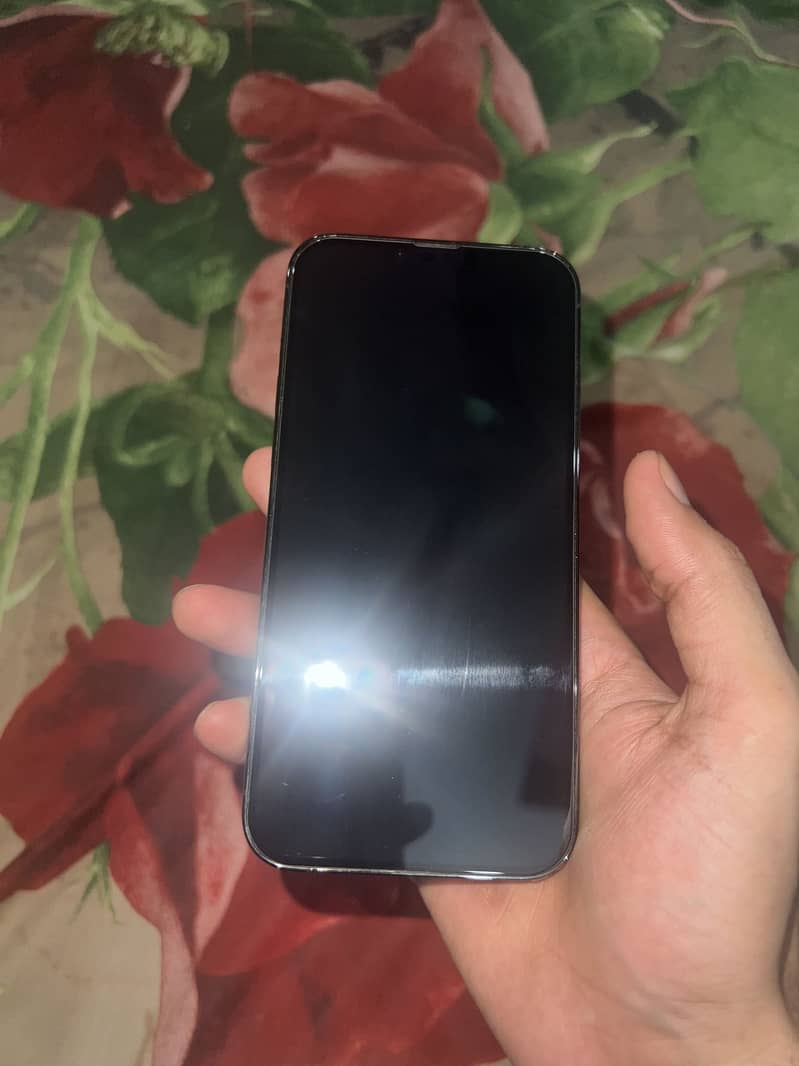 Apple iPhone 13 Pro Max 0