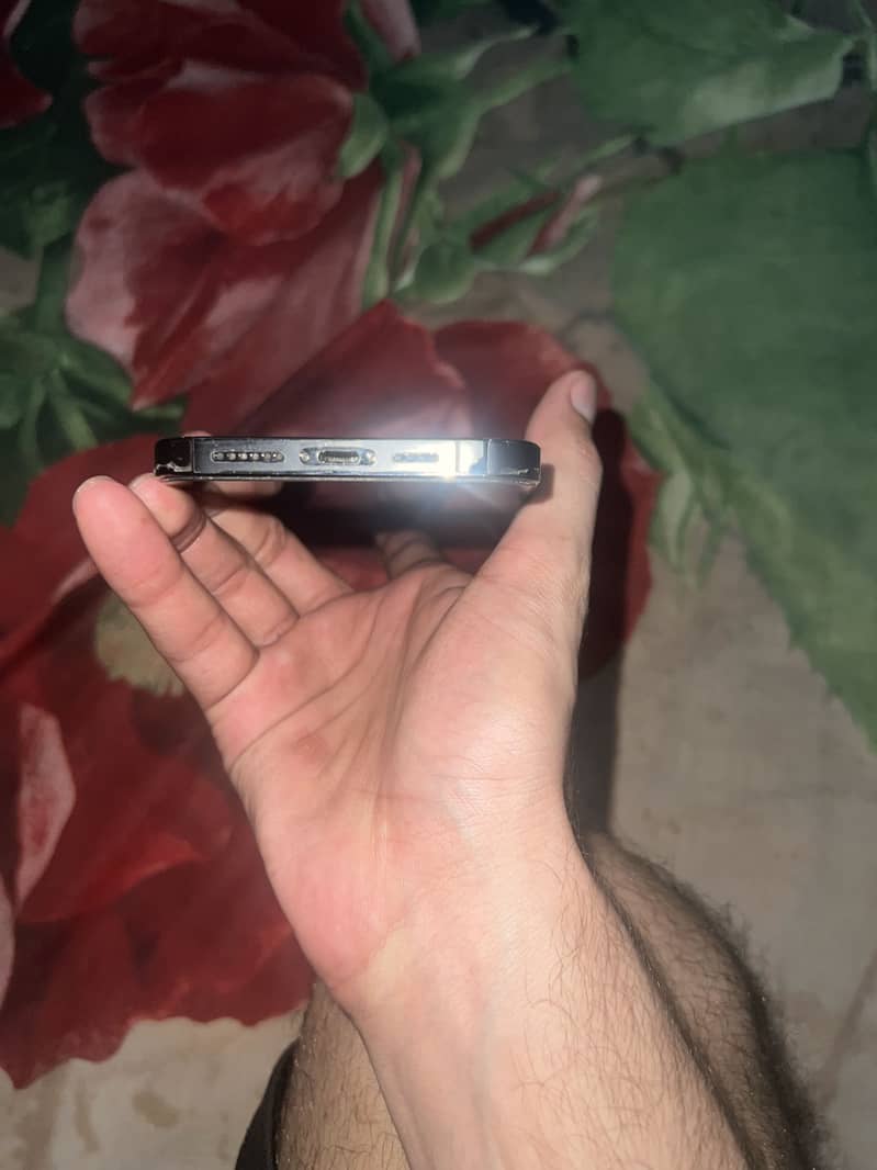Apple iPhone 13 Pro Max 1