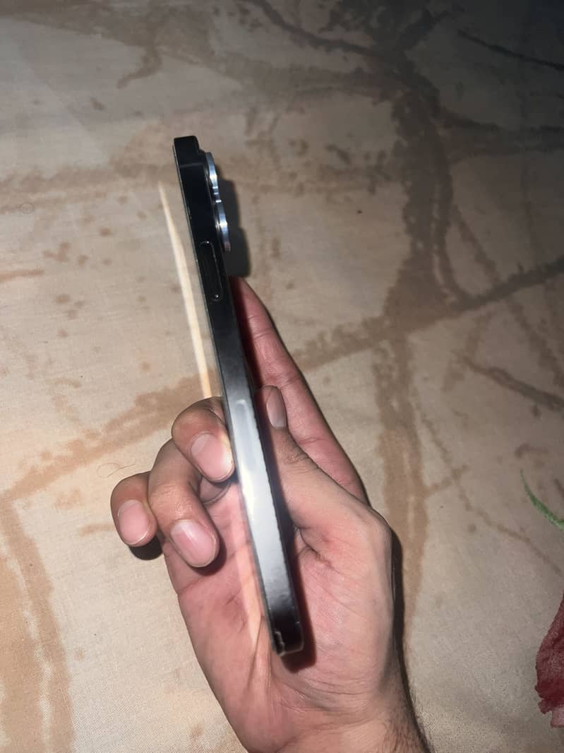 Apple iPhone 13 Pro Max 2