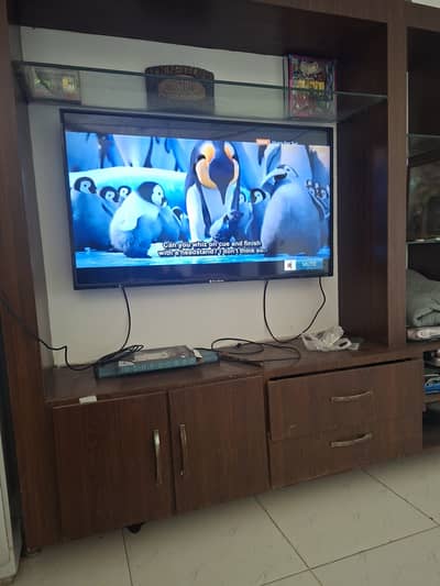 55" EcoStar used 2017 model Led for sale