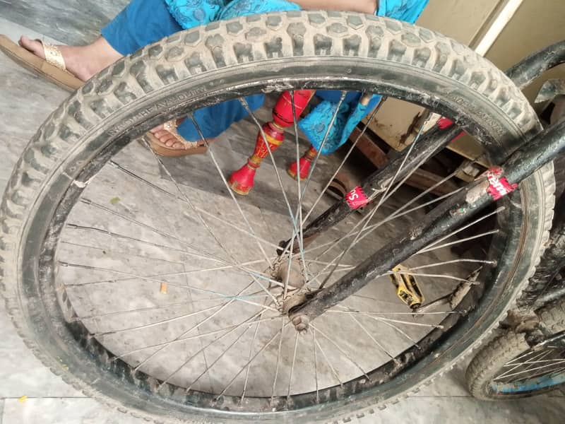 Cycle 3