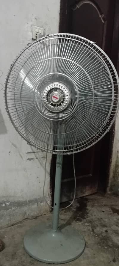 Royal Fans