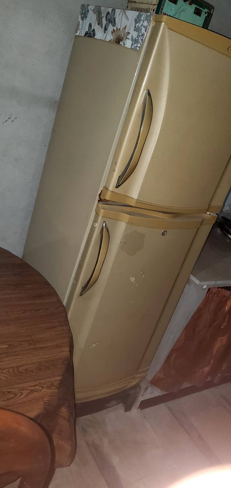 pel refrigrator 1