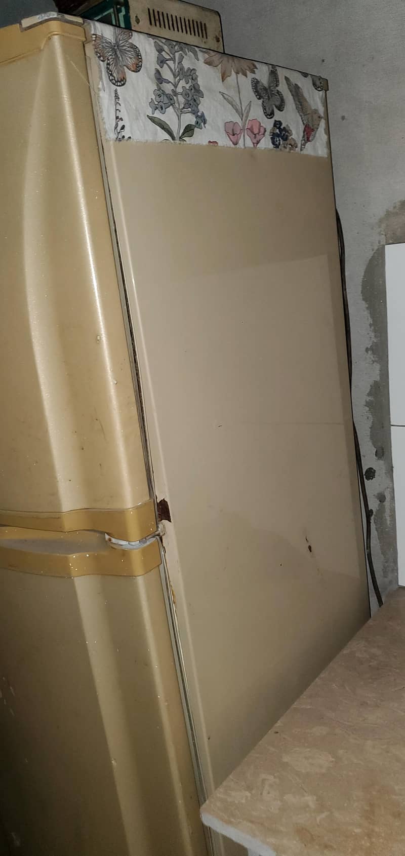 pel refrigrator 2