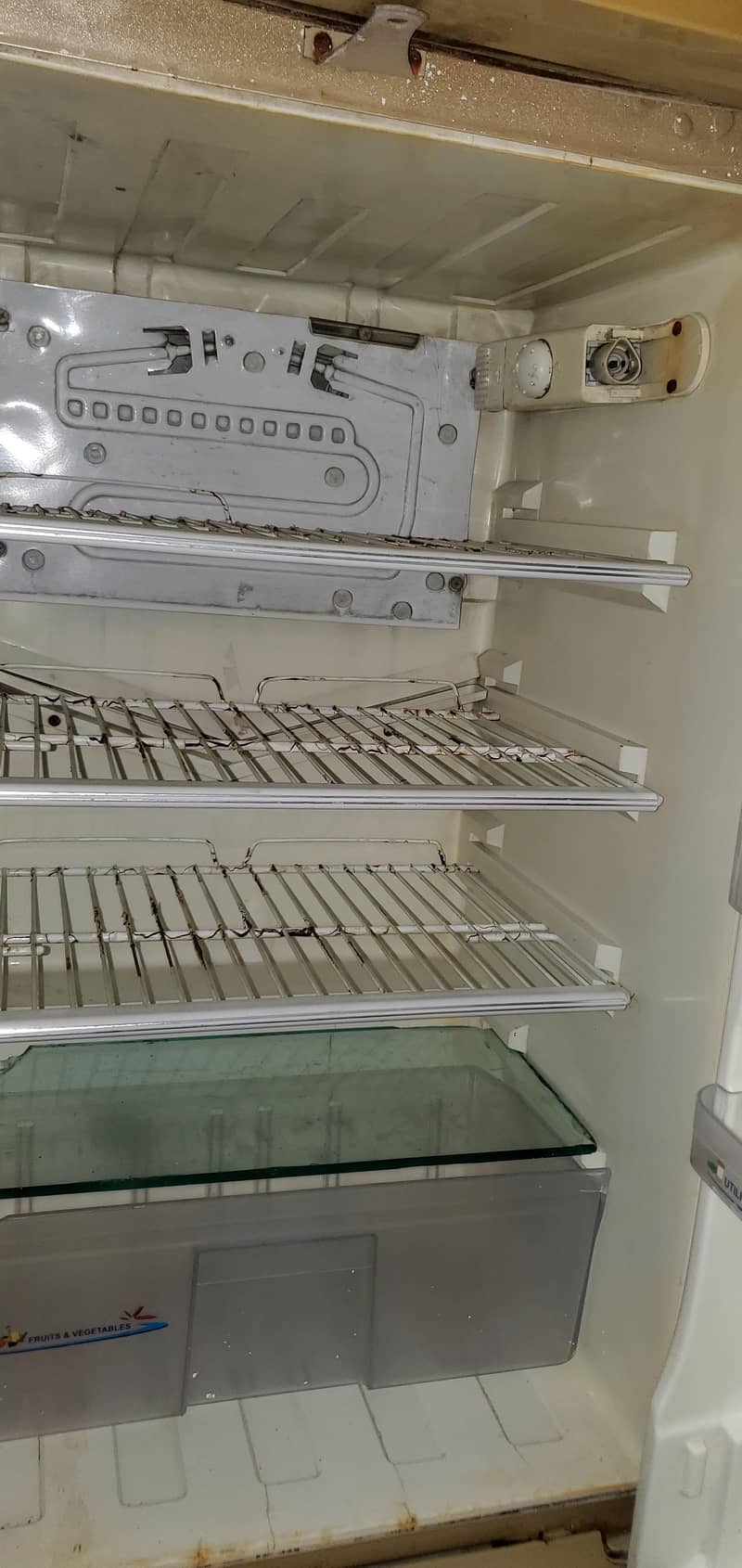 pel refrigrator 5