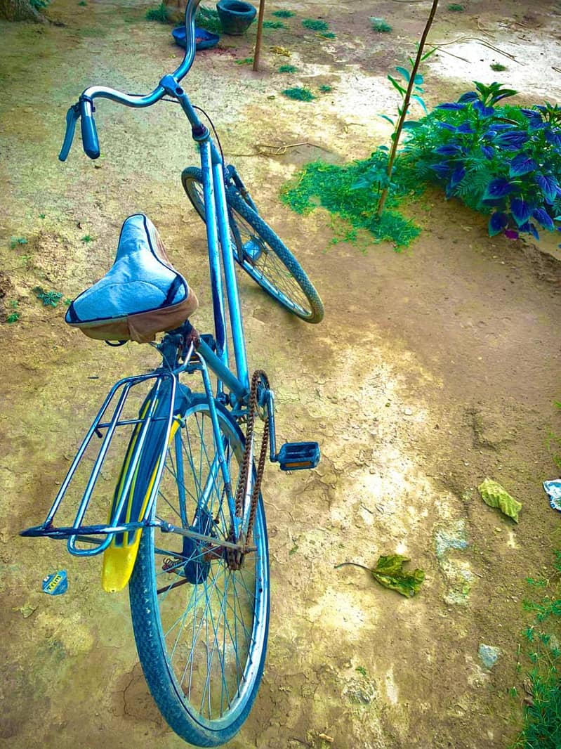 Cycle 2
