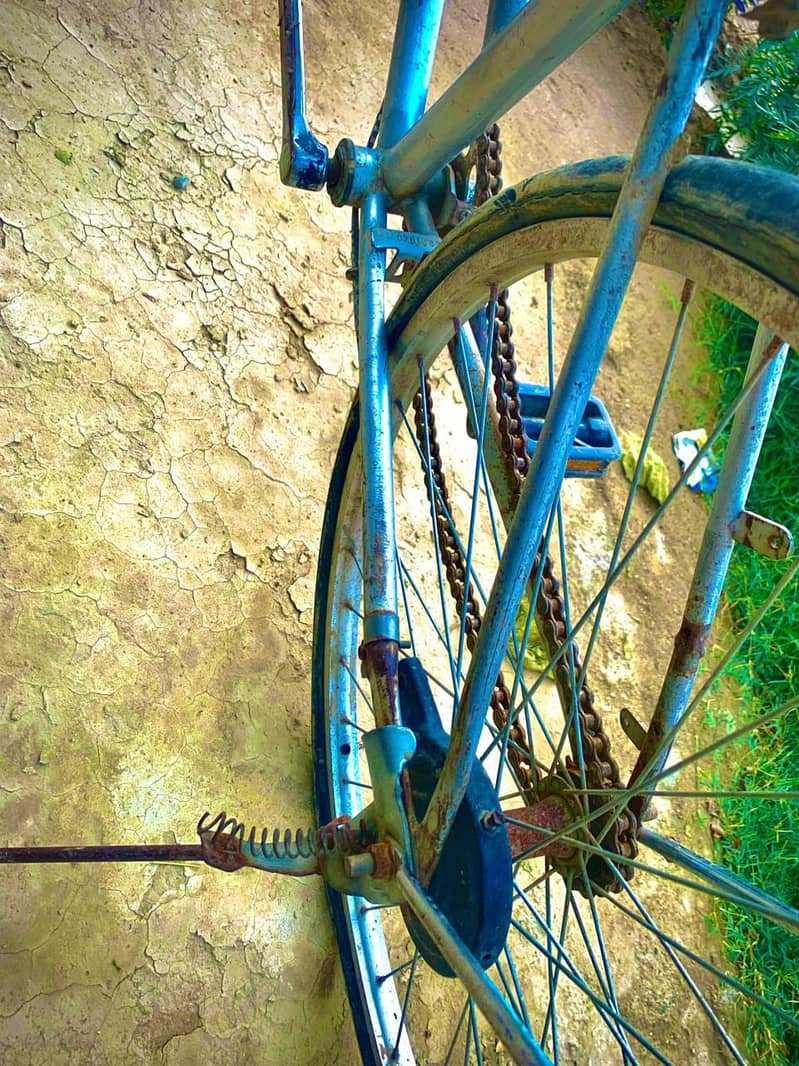 Cycle 4