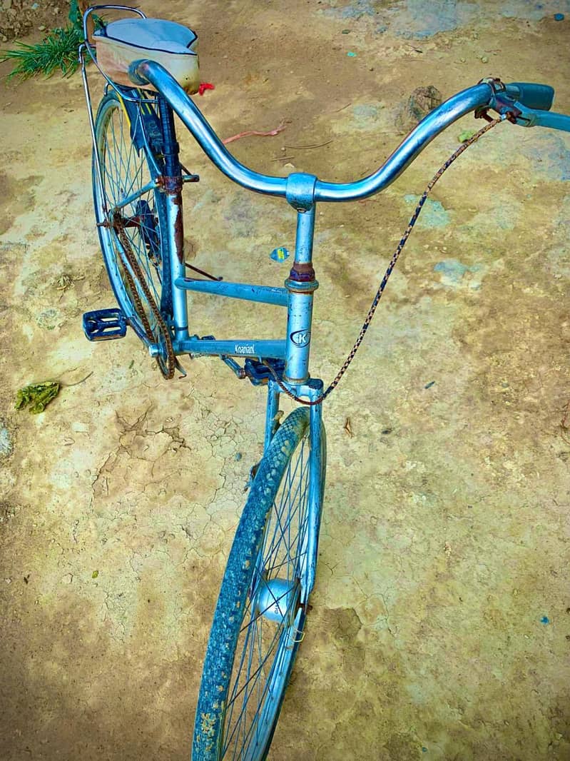 Cycle 6