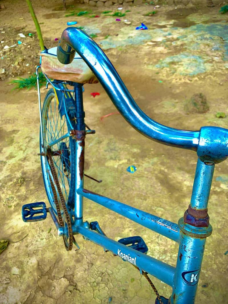 Cycle 7