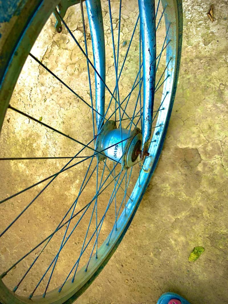Cycle 8