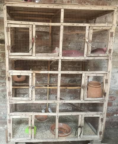 budgies pairs end cage