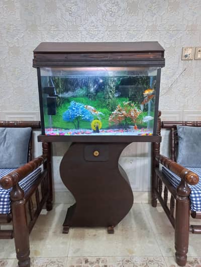 all ok aquarium(no leak) with 7 fancy goldfish for urgent sale