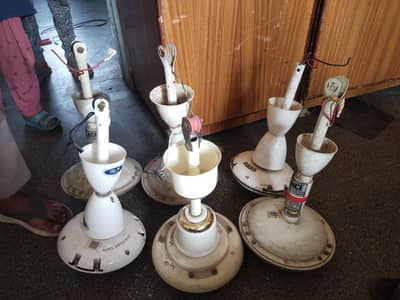 6 Fan for sale urgent basis