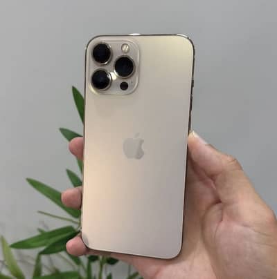 Apple iPhone 13 Pro Max