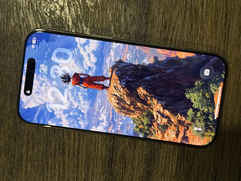 Apple iPhone 16 Pro 1