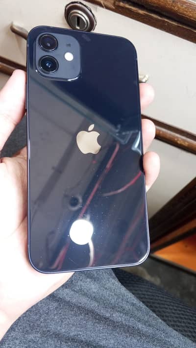 Apple iPhone 12jv