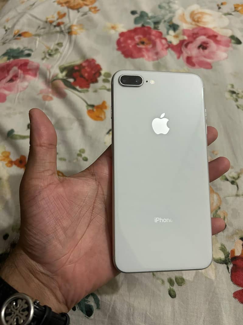 8 plus 6
