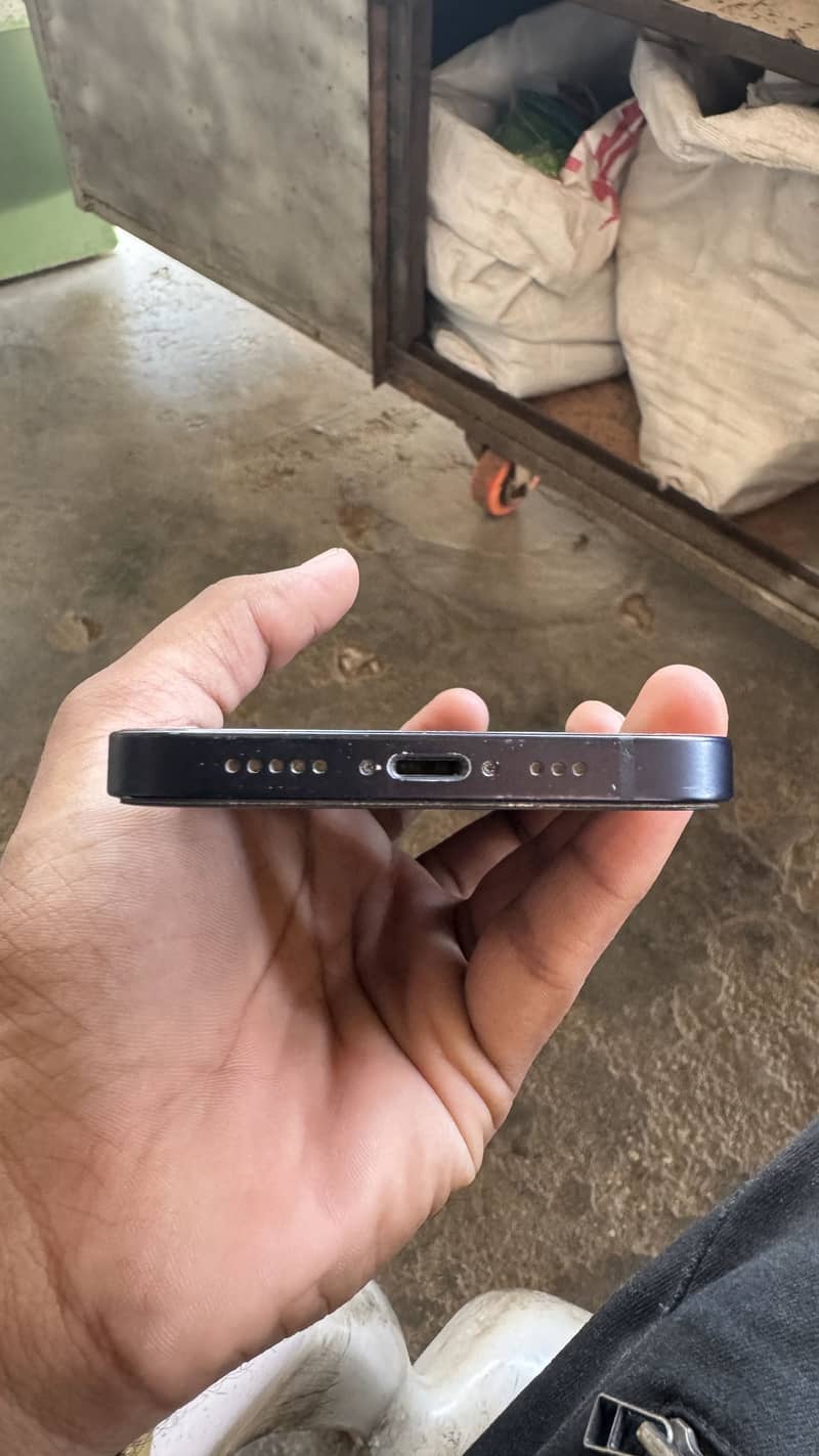 Apple iPhone 12 1