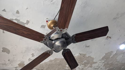 fancy fan