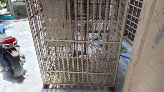 Parrots cage