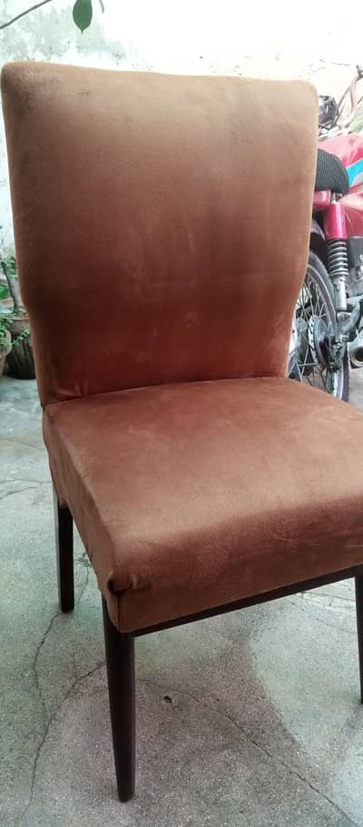 dining chairs